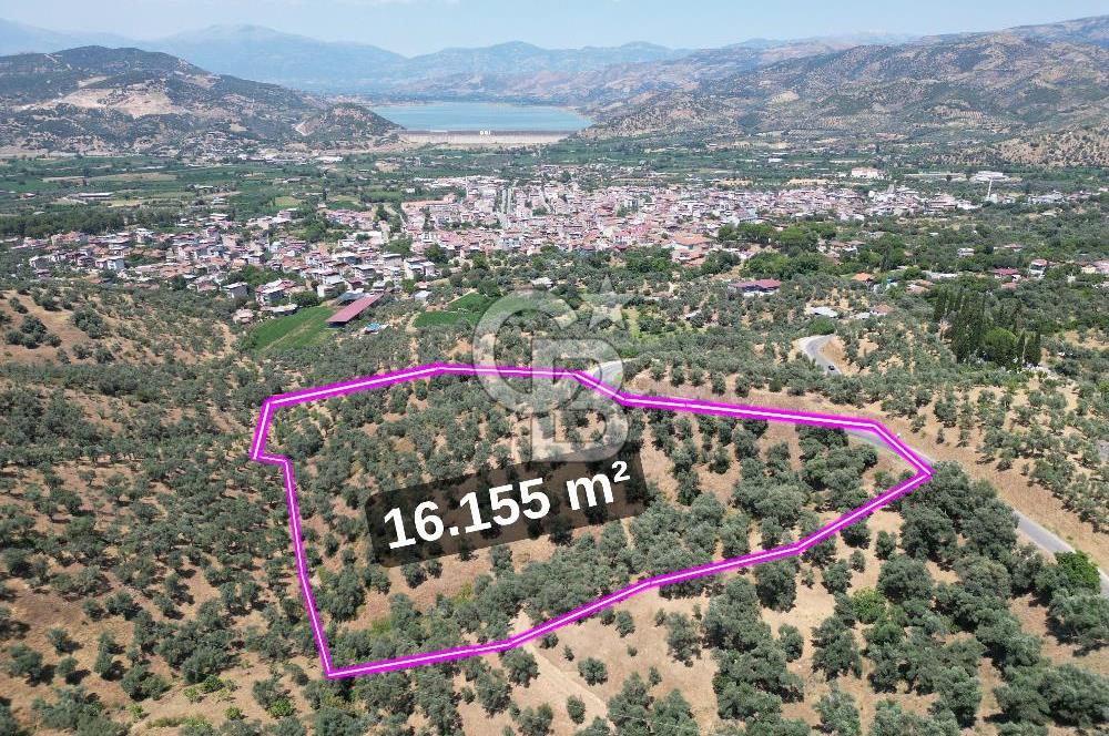 Beydağ’da şehir ve baraj manzaralı satılık müstakil zeytinlik — fotoğraf 1