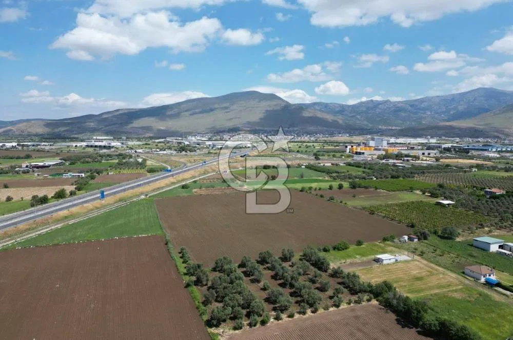 İzmir-eski foça duble yolu üzerinde satılık fırsat tarla — fotoğraf 3