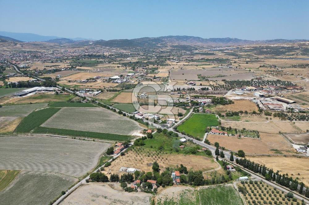 Foça-izmir karayolu üzerinde satılık 15.503 m2 müstakil tarla — fotoğraf 3