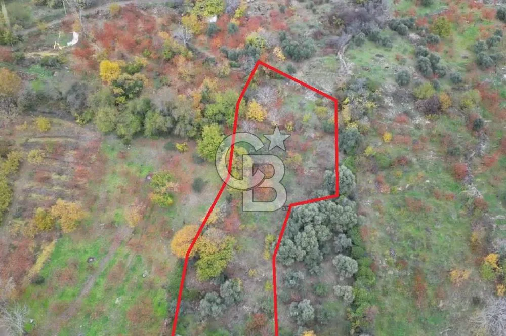 Bayındır Kızıloba yaylasında doğayla iç içe satılık arazi — fotoğraf 2