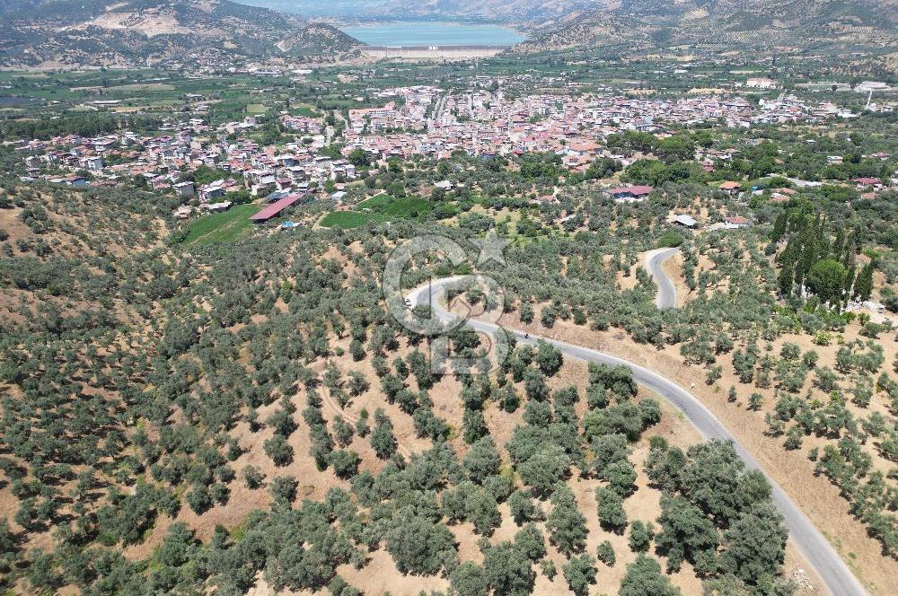 Beydağ’da şehir ve baraj manzaralı satılık müstakil zeytinlik — fotoğraf 2