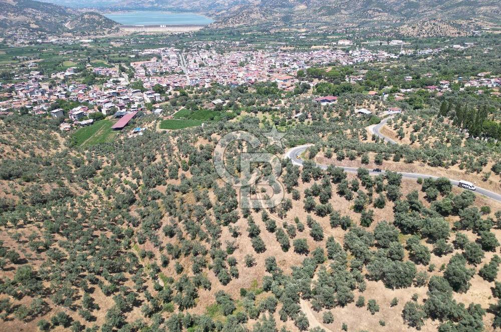 Beydağ’da şehir ve baraj manzaralı satılık müstakil zeytinlik — fotoğraf 3
