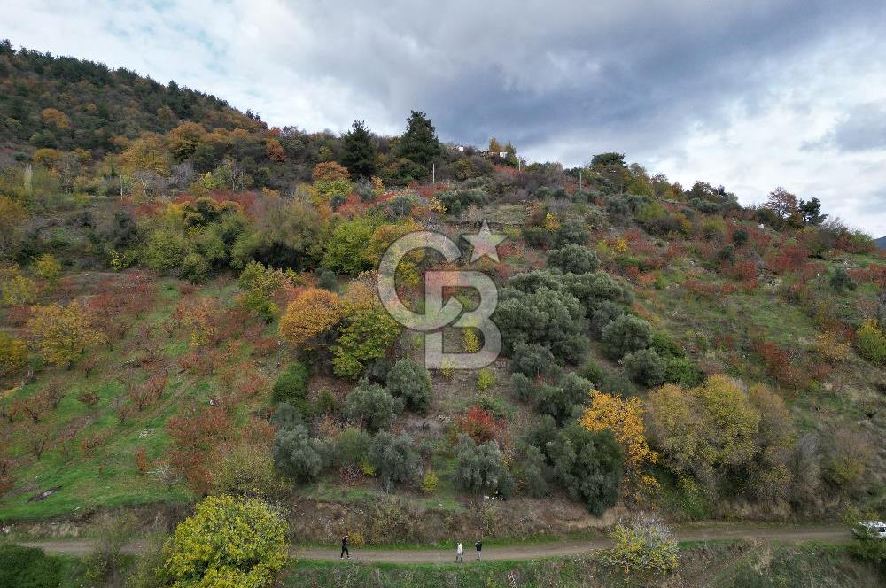 Bayındır Kızıloba yaylasında doğayla iç içe satılık arazi — fotoğraf 1