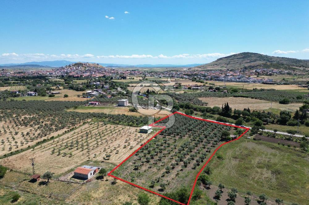 Yenibağarası’nda asfalt yola cepheli imara 500 m. satılık tarla — fotoğraf 1