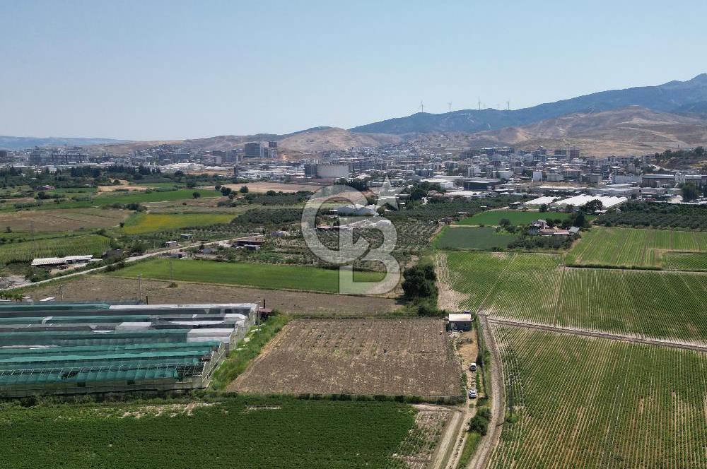 Menemen koyundere’de satılık müstakil tarla — fotoğraf 2