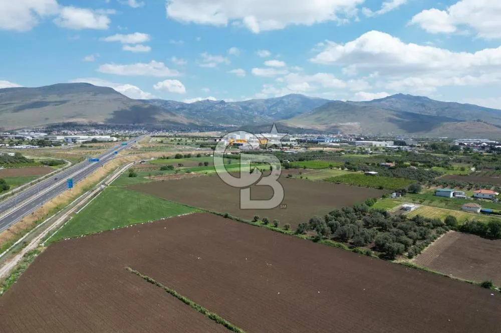 İzmir-eski foça duble yolu üzerinde satılık fırsat tarla — fotoğraf 2