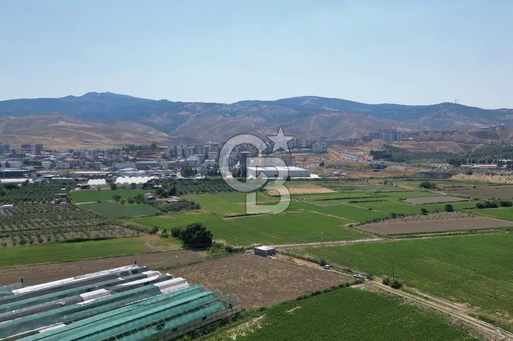 Menemen koyundere’de satılık müstakil tarla — fotoğraf 3