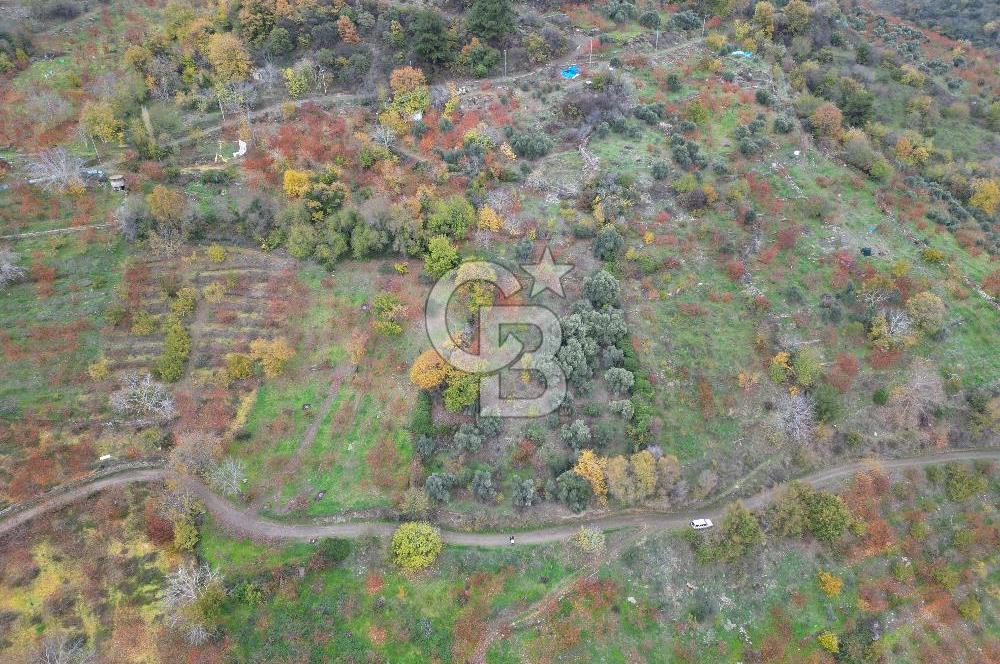 Bayındır Kızıloba yaylasında doğayla iç içe satılık arazi — fotoğraf 3